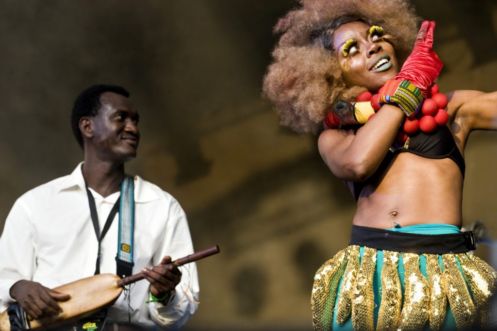 Bassekou Kouyate and Ebony Bones by Susa Schulman. 